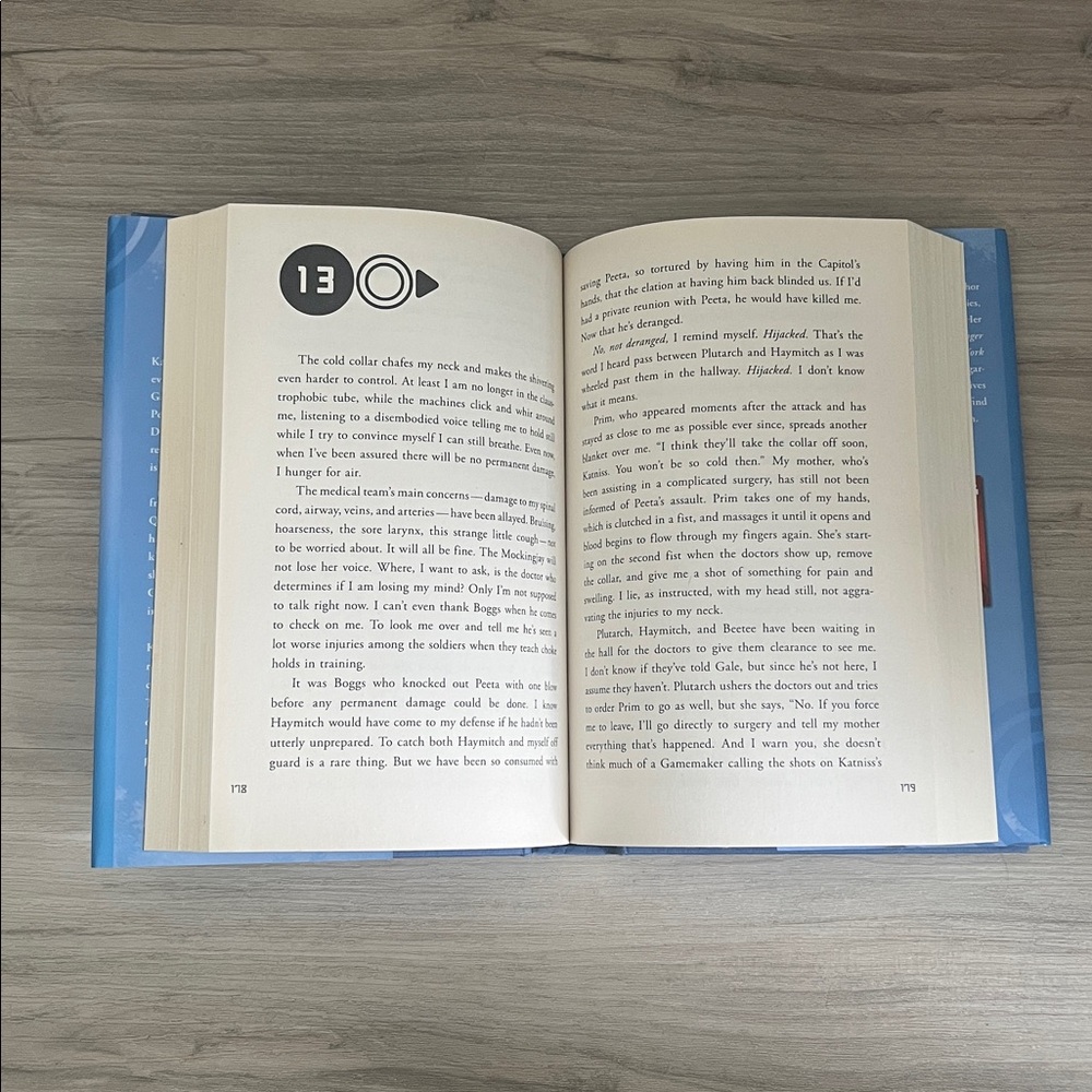 Hunger Games Trilogy - Picture 5 of 5